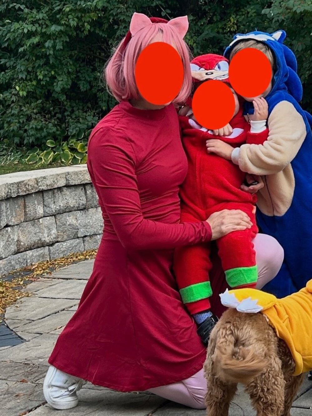 (DIY) Amy Rose (Sonic) women's costume (size small)